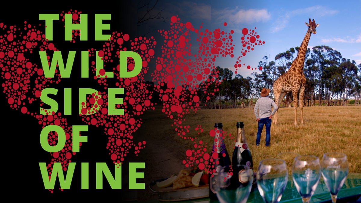 The Wild Side of Wine